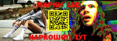 тгк Новозыбков