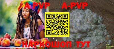 тгк Новозыбков
