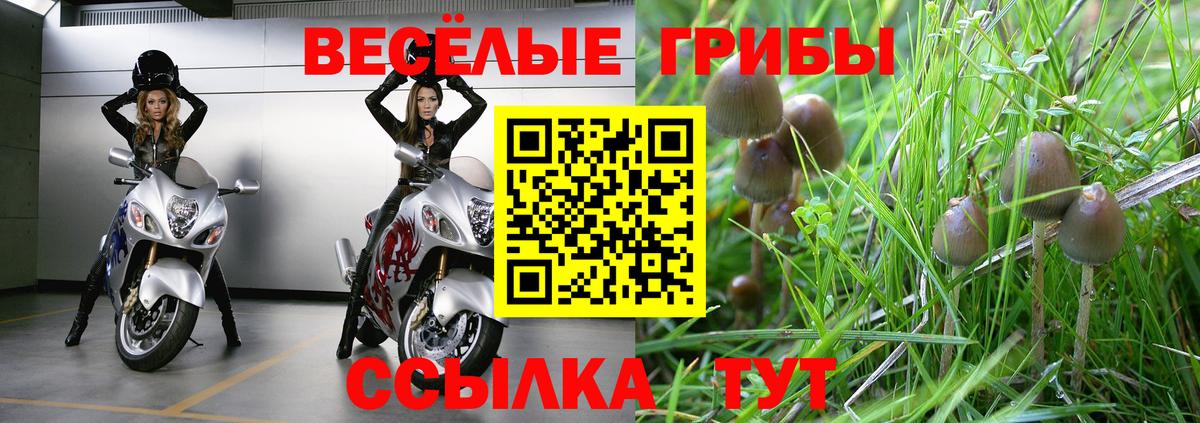 Симферополь  Псилоцибиновые грибы мицелий  Вход с VPN 